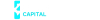 Strcvip Logo