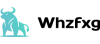 Whzfxg Logo