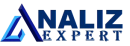Компания Analizexpert Analizexpert logo