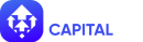 Anchora Capital AS logo