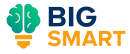 Компания BigSmart BigSmart logo