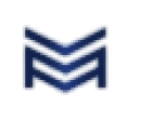 Next Login Stream logo
