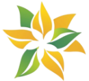 Fevodex logo