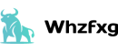 Whzfxg logo