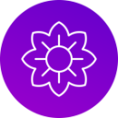 Mirubit logo