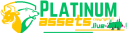 Platinum Assets logo