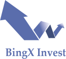 Bingxinvestment logo