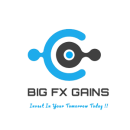 Bigfxgains logo
