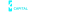 Logo Strcvip