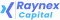 Logo Raynex Capital