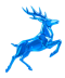 Logo Cervus